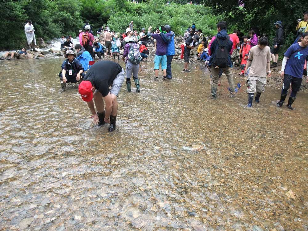 透明度は高い。