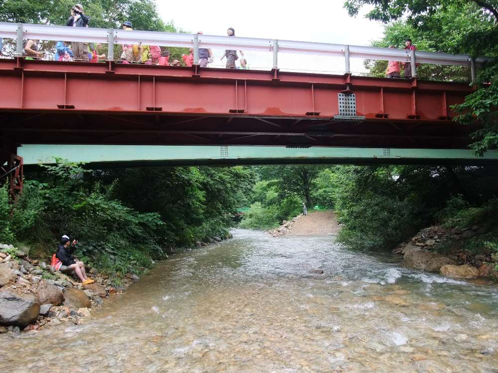 奥に坂があります。川に重機が入ったと思われます。