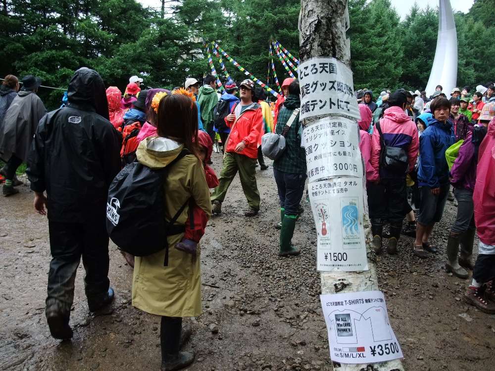 広告を貼りつけた電柱のような木。