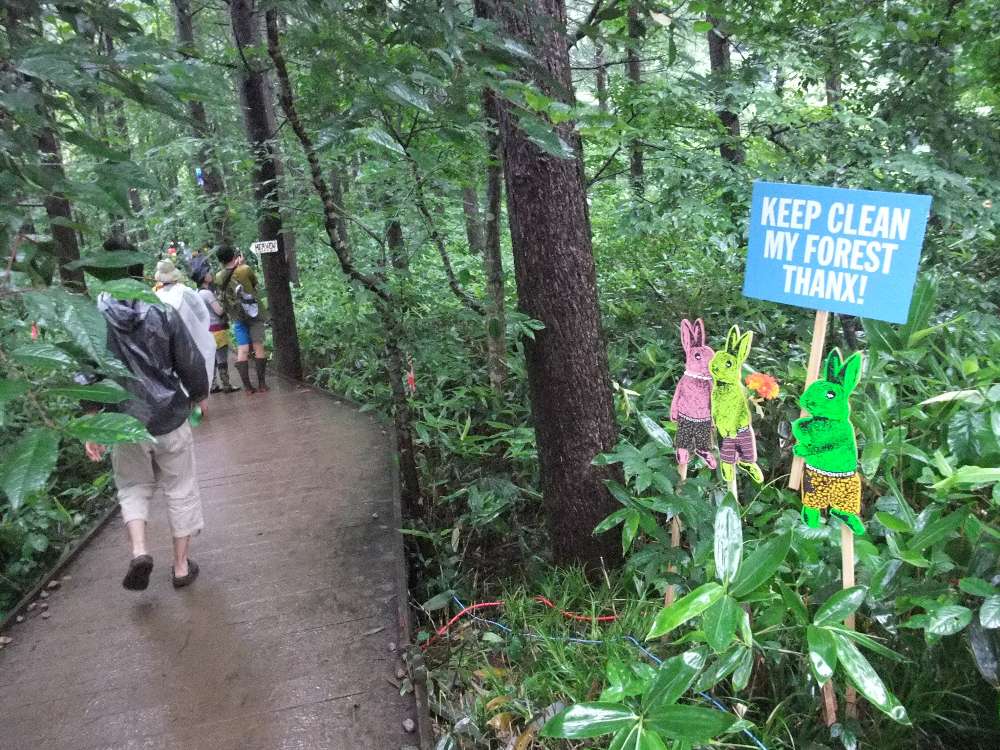 ウサギがいろいろと言っています。