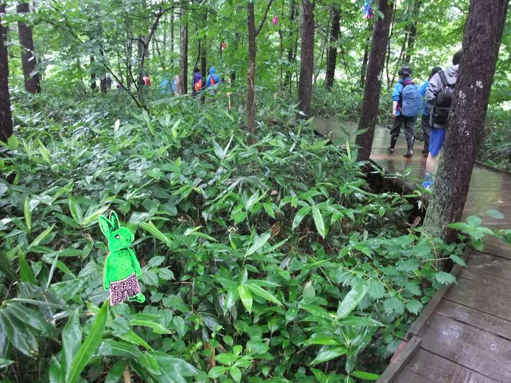 何も言わないやつも。