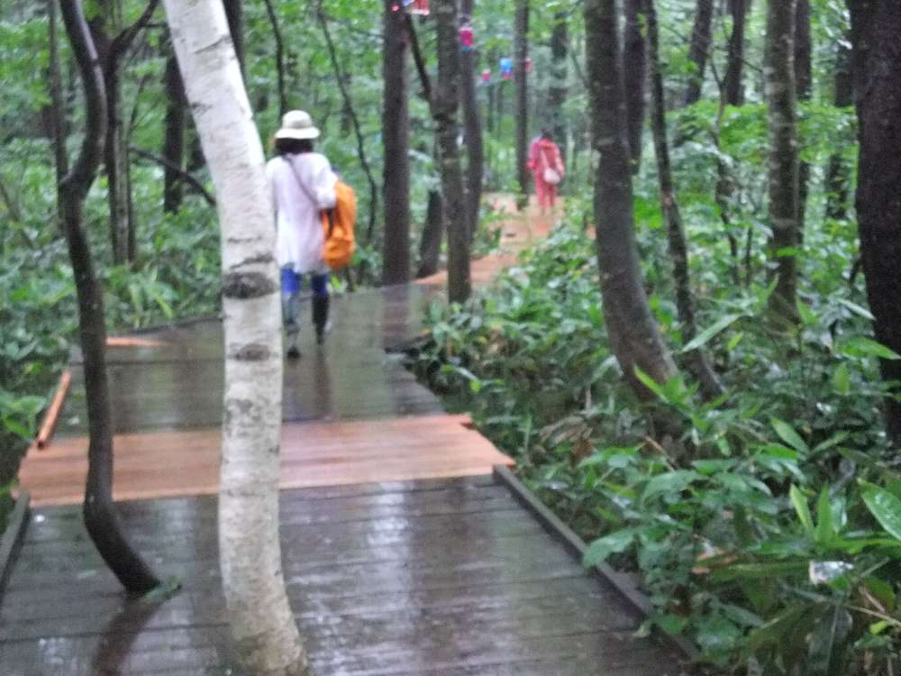 新旧の板が混ざってます。