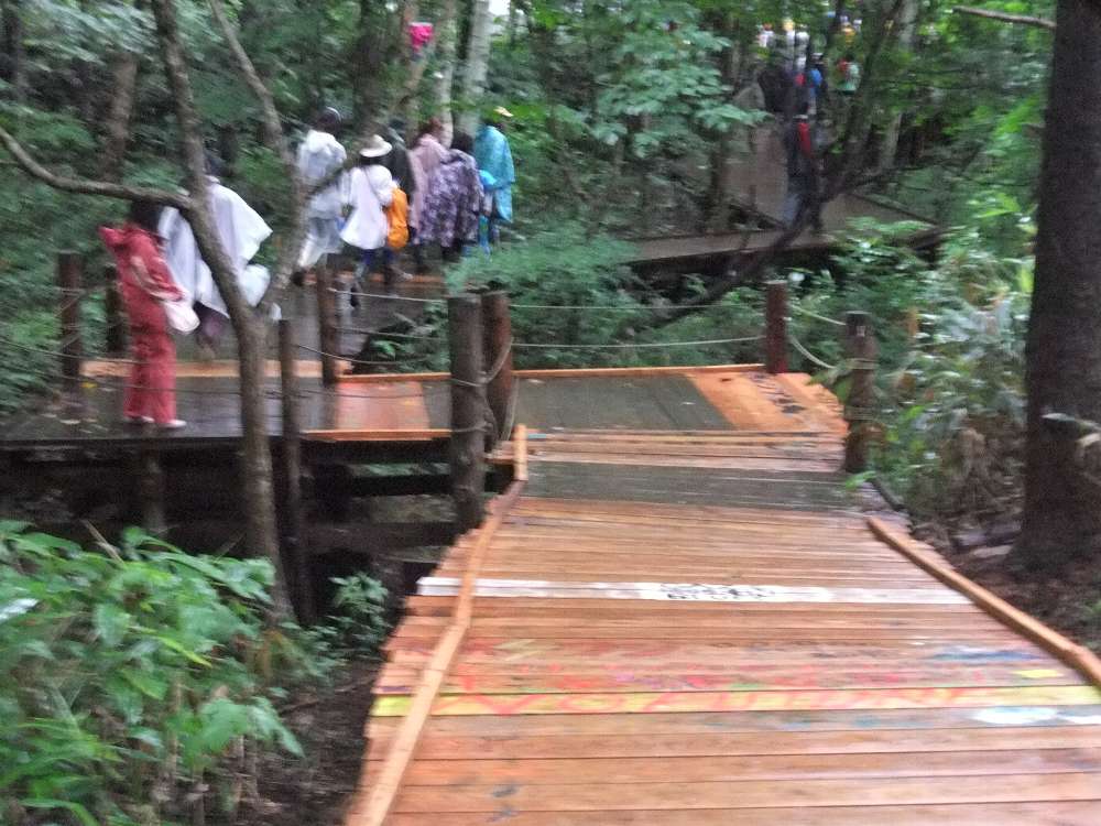 この辺は雪で腐りやすいのか。