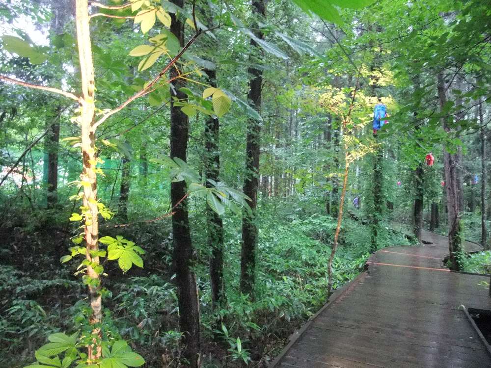 下から照らされています。