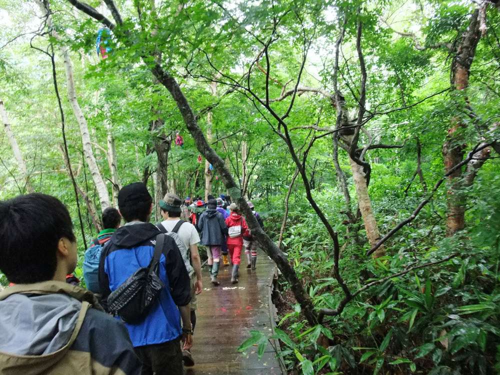 引き続き晴れのボードウォーク。