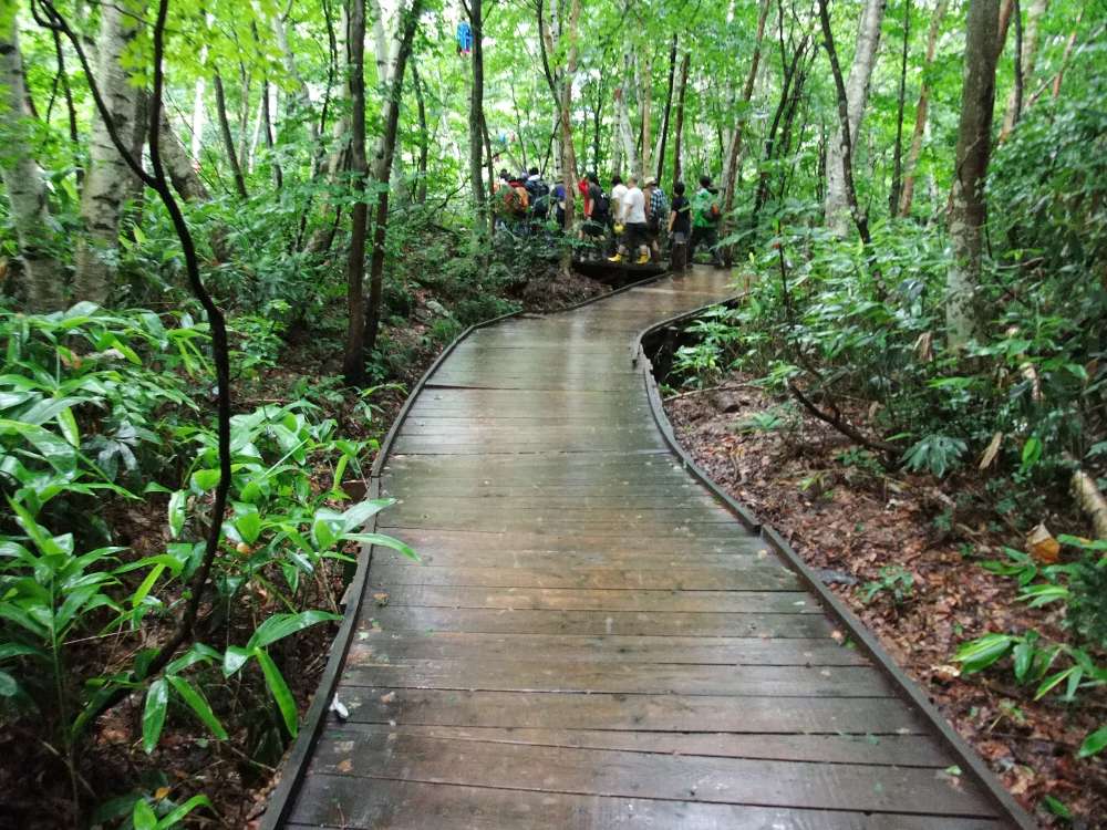 地面に近いところは板が長持ち。
