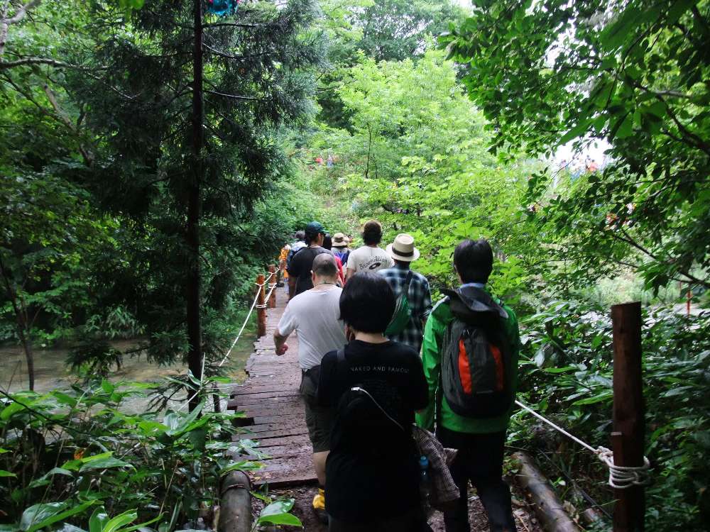 みどり橋。近年、標識はずっとなし。