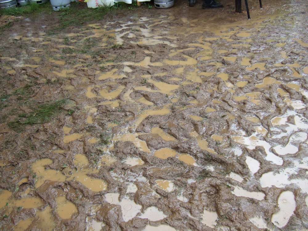 たぶんオアシスエリア。