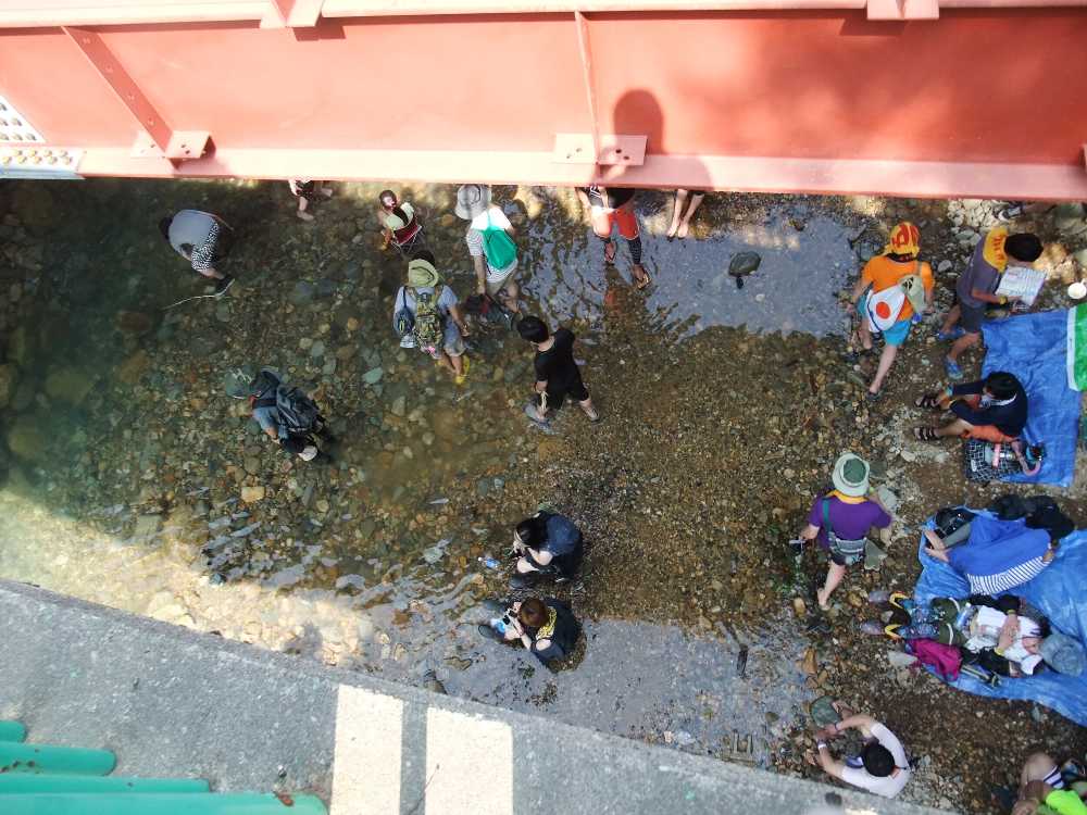 橋から下を見る。