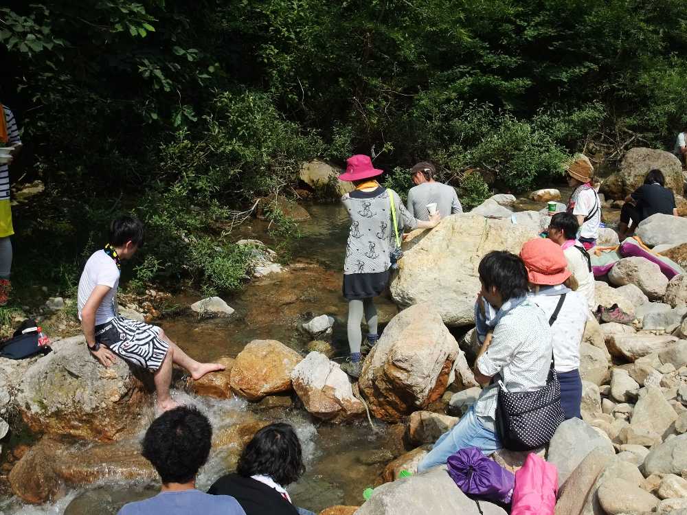 晴れていたので流量は少ない。