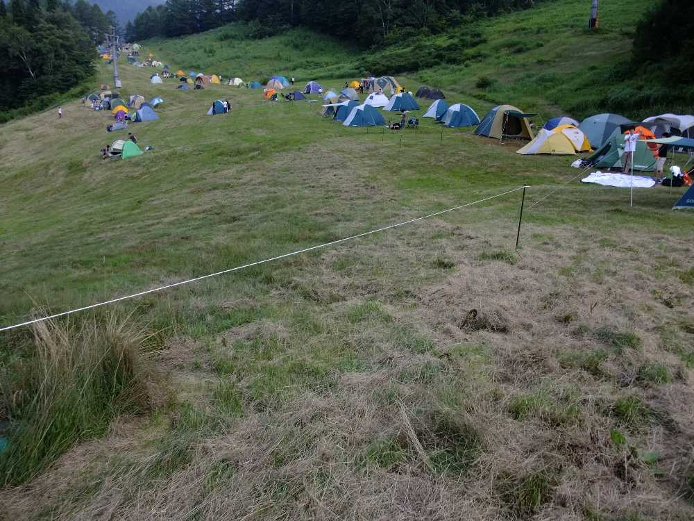 途中のFサイト。