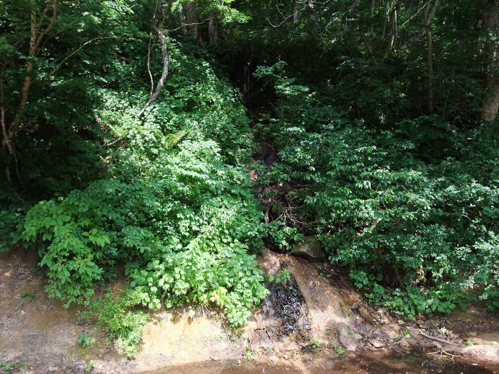 ところ天国の小さな滝。見てもよく分からない。