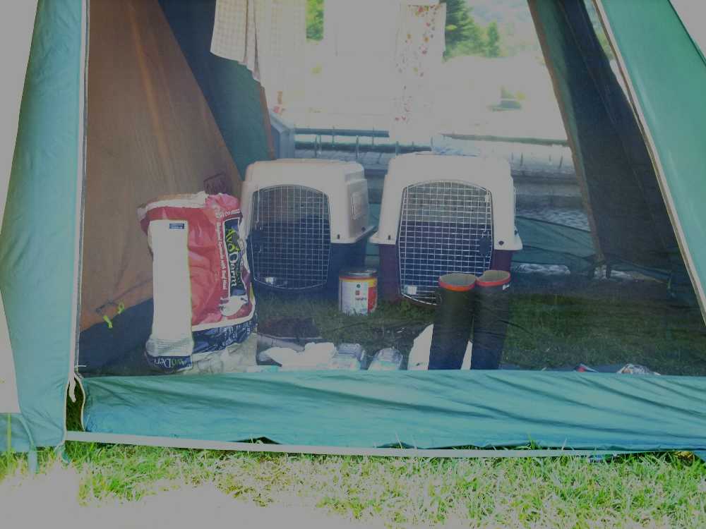 休憩用のテント。