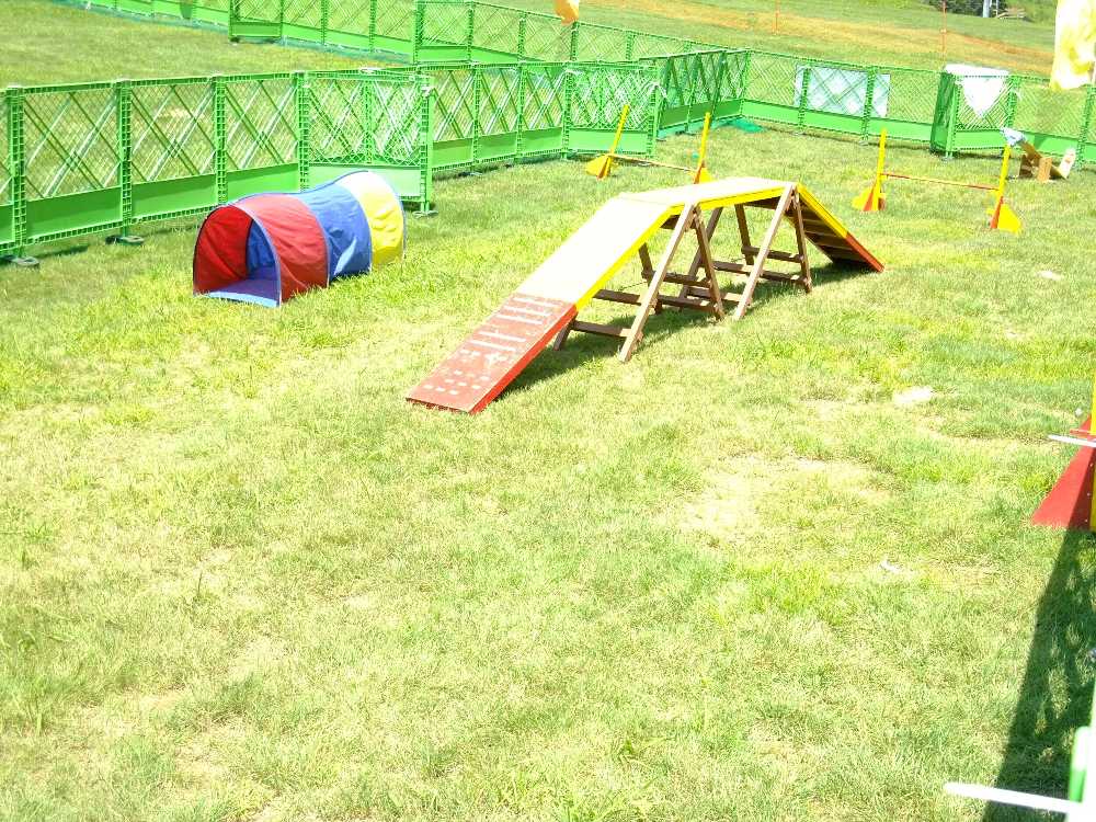 暑すぎて犬はいなかった。