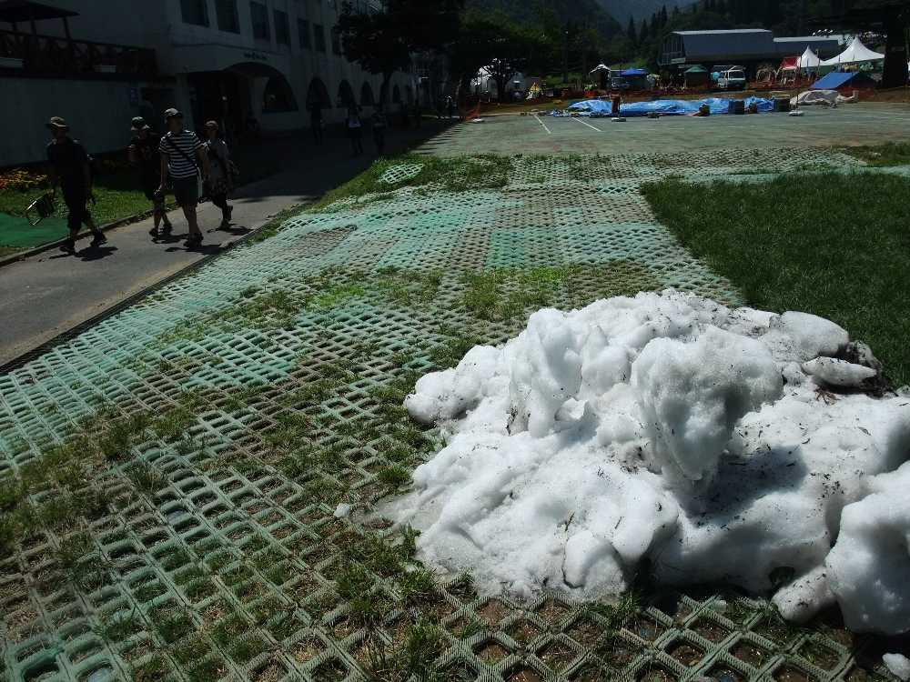 雪があった。奥に見えるテントはドッグ・ワンダーランド。