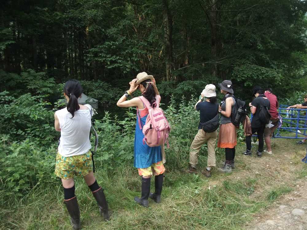 向こう側にボードウォークの木道亭がある。