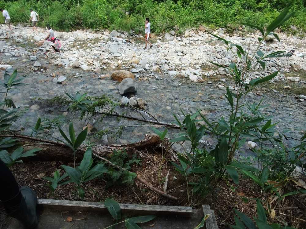 浅貝川が見下ろせる。