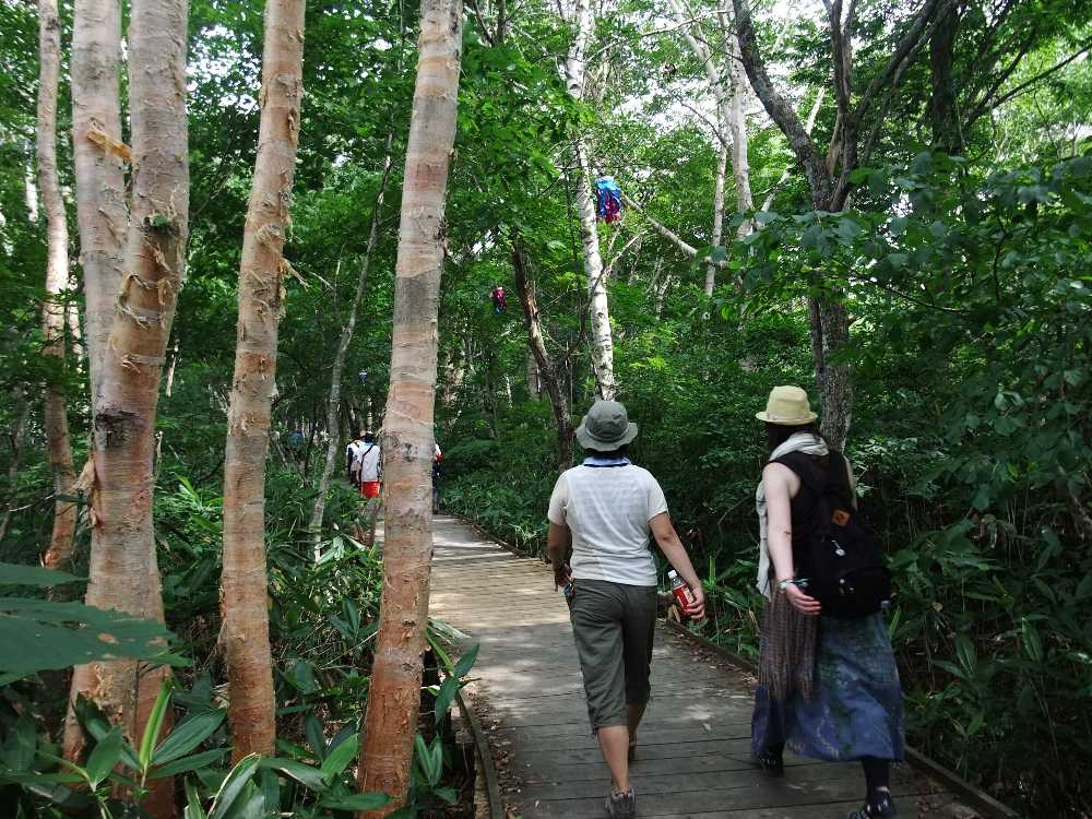 かなり暗くなる森の中。