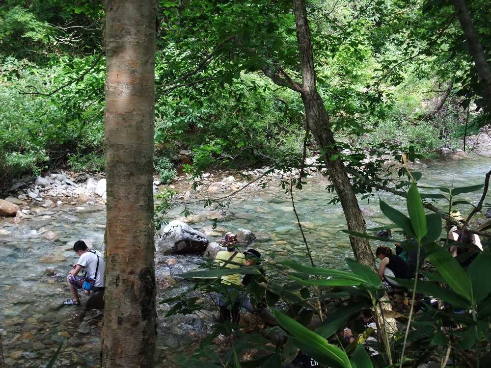 通常のボードウォークから見える浅貝川。