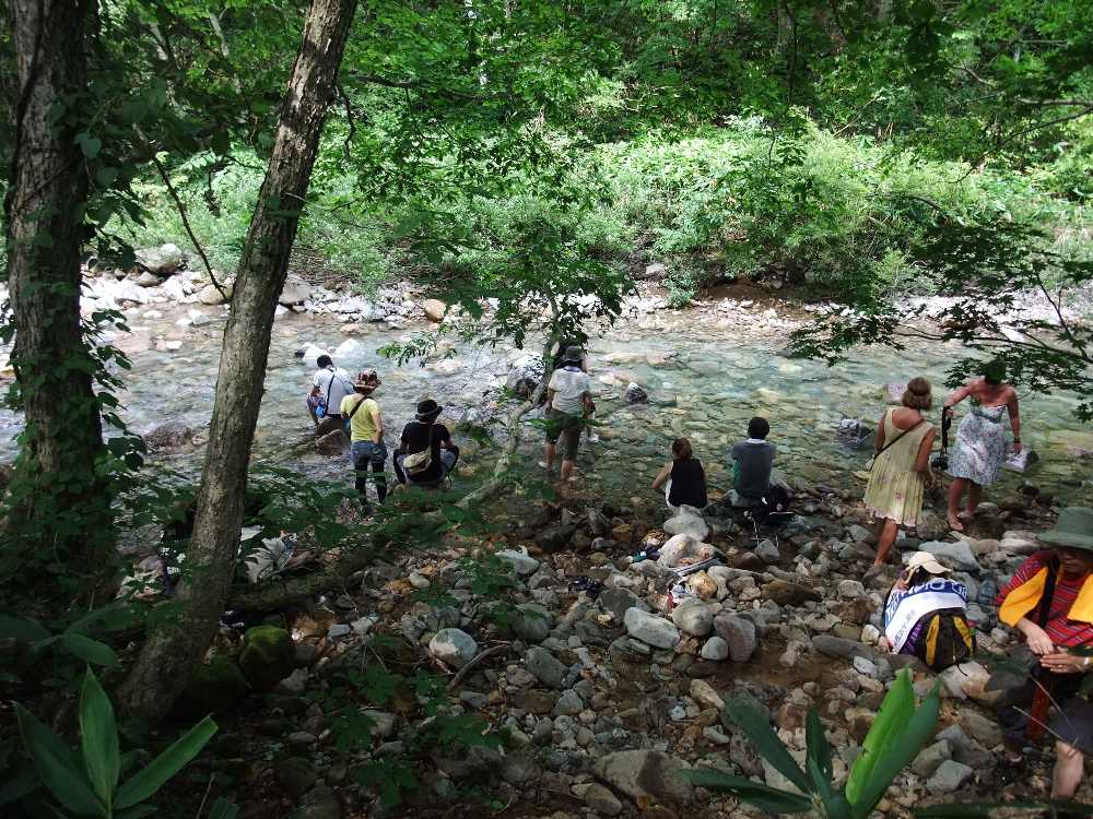 オアシスエリア下からストーンドサークルまで途切れることなく人がいるのではないか。