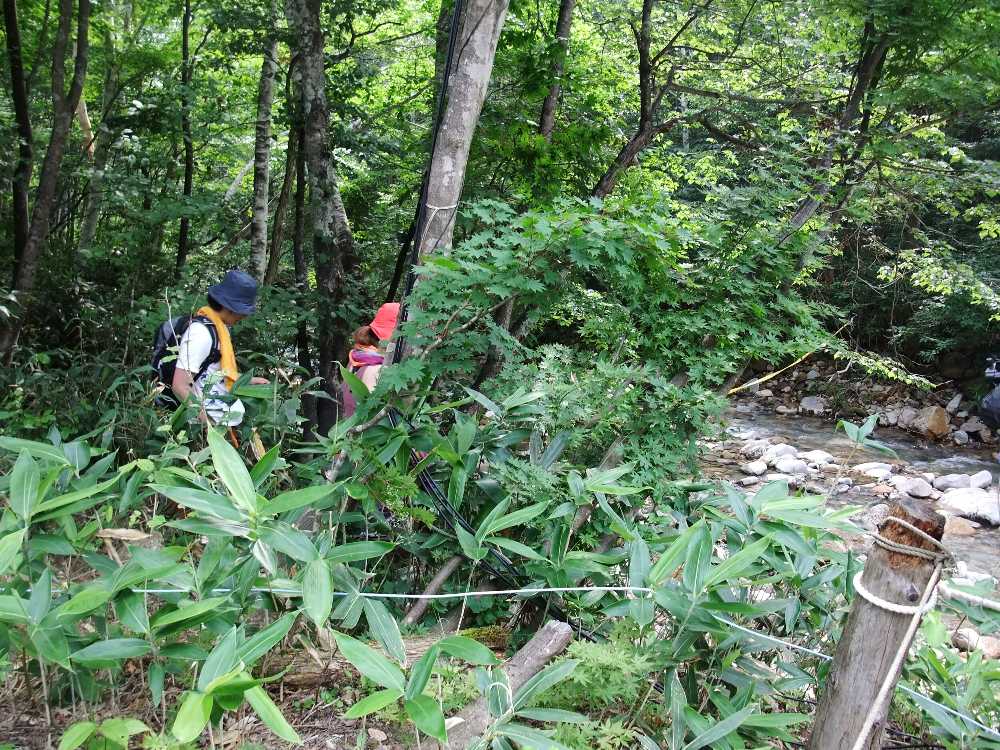 坂の途中で下に降りる人。