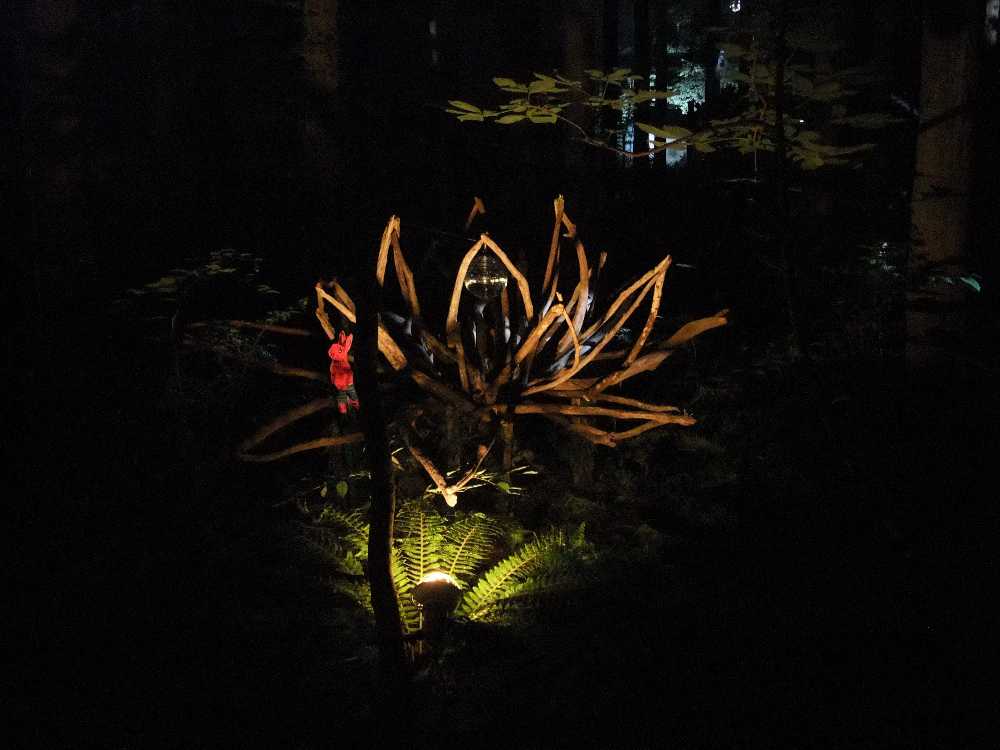 長時間露光すればもっときれいに撮れるだろう。