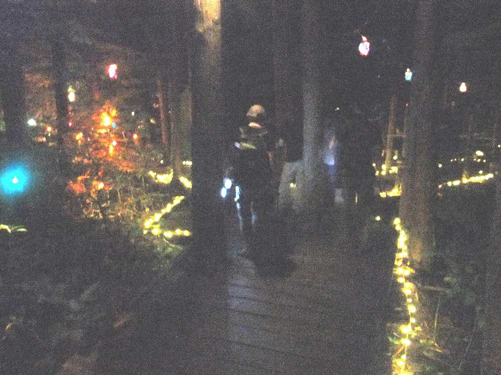 フィールド・オブ・ヘブンの近く。修正すると光が粒状になる。