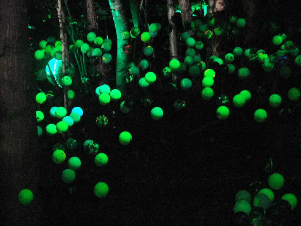 浮いているように見える。