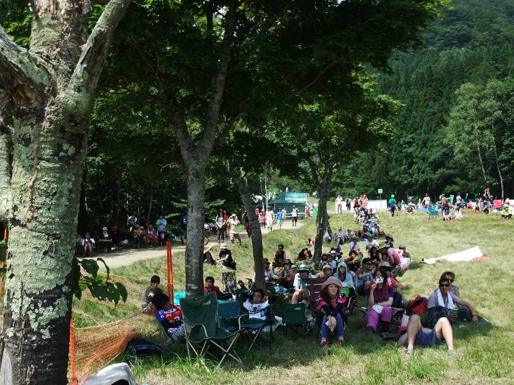 くっきり密集。