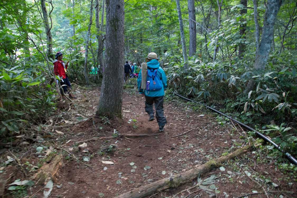 草刈りもされているので半ば黙認された通路なのだろう。