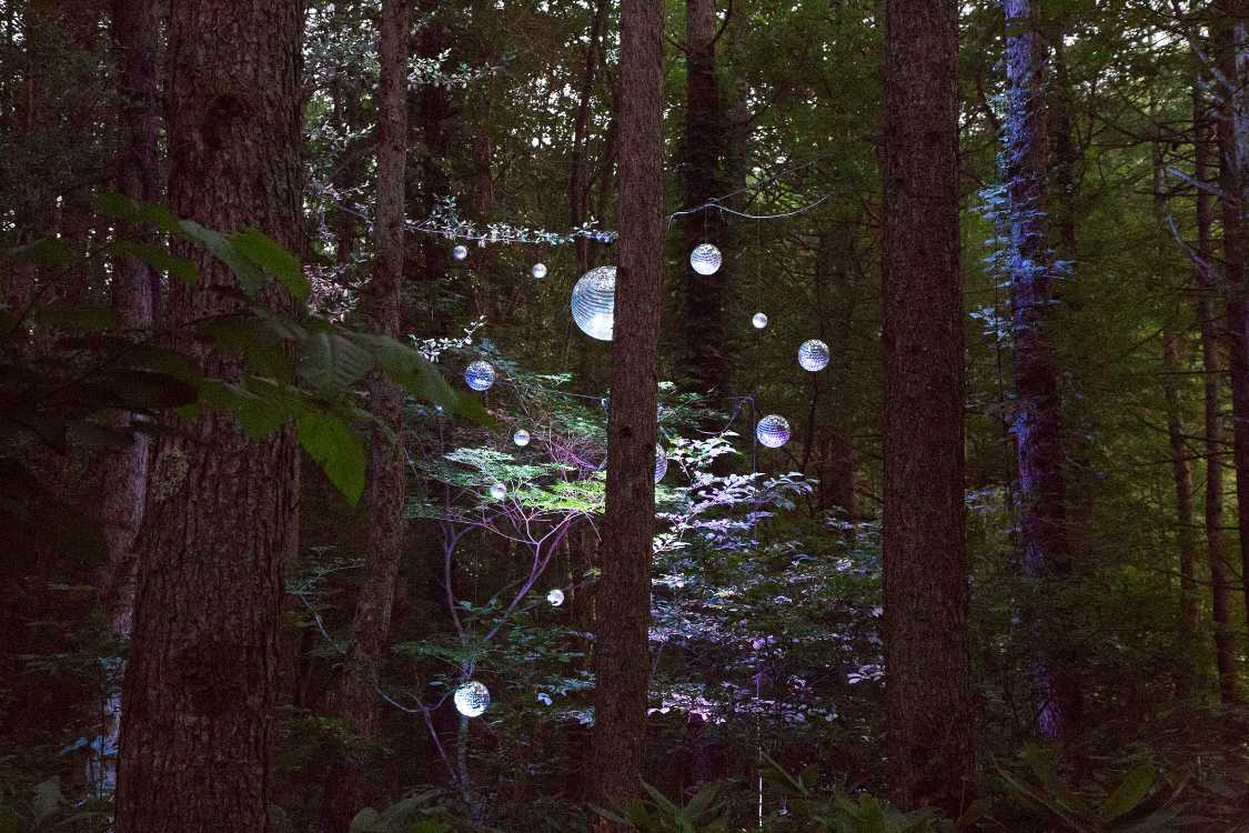 土曜の午後7時5分ごろ。導線から見えるミラーボール。