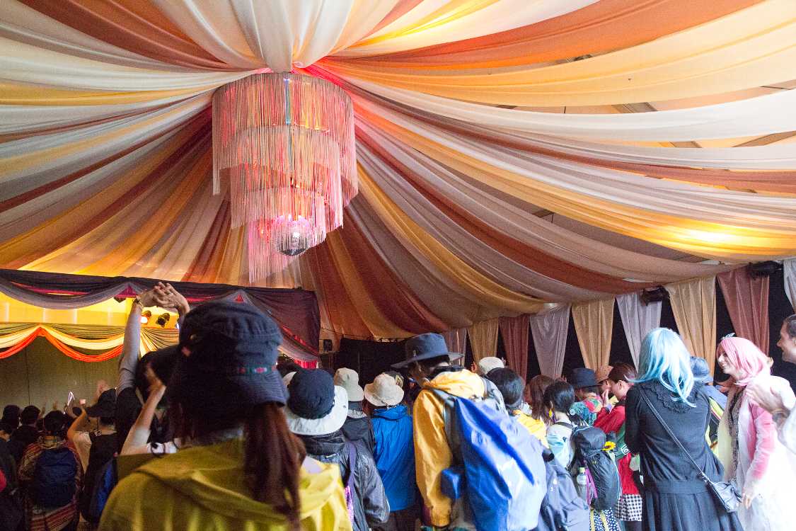 ビッグ・ウィリーは男性器の意味を持つ。アメリカのサザンロックバンド、ウェット・ウィリーの使われ方と同じ。