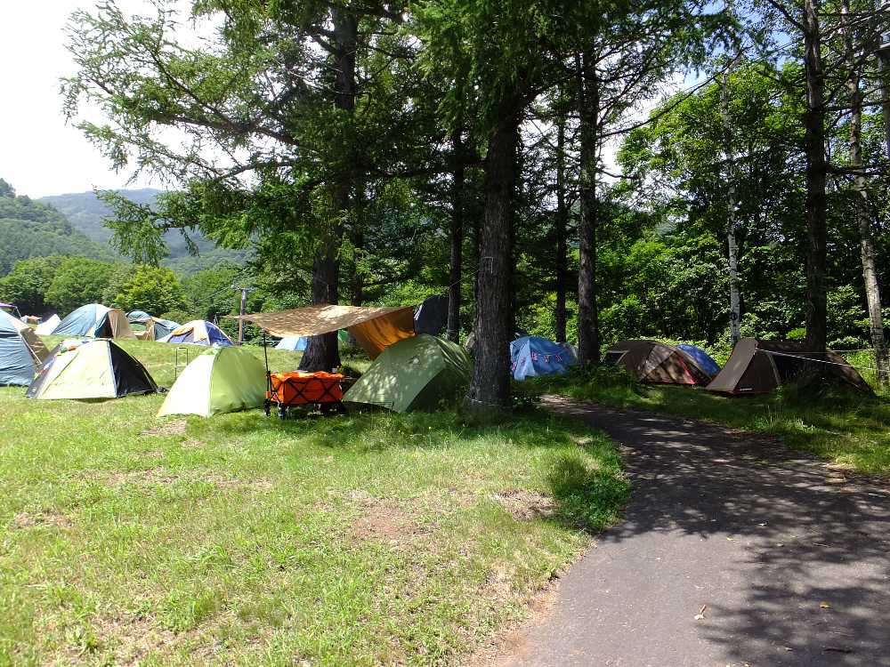 遠さを考えなければ快適そうな場所だ。