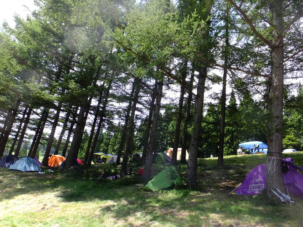 日陰は朝の蒸し風呂状態を回避できる。