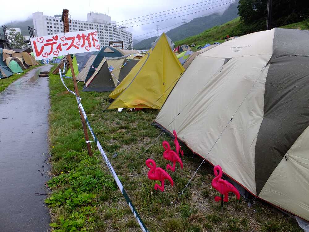 分かりやすいピンクフラミンゴ。