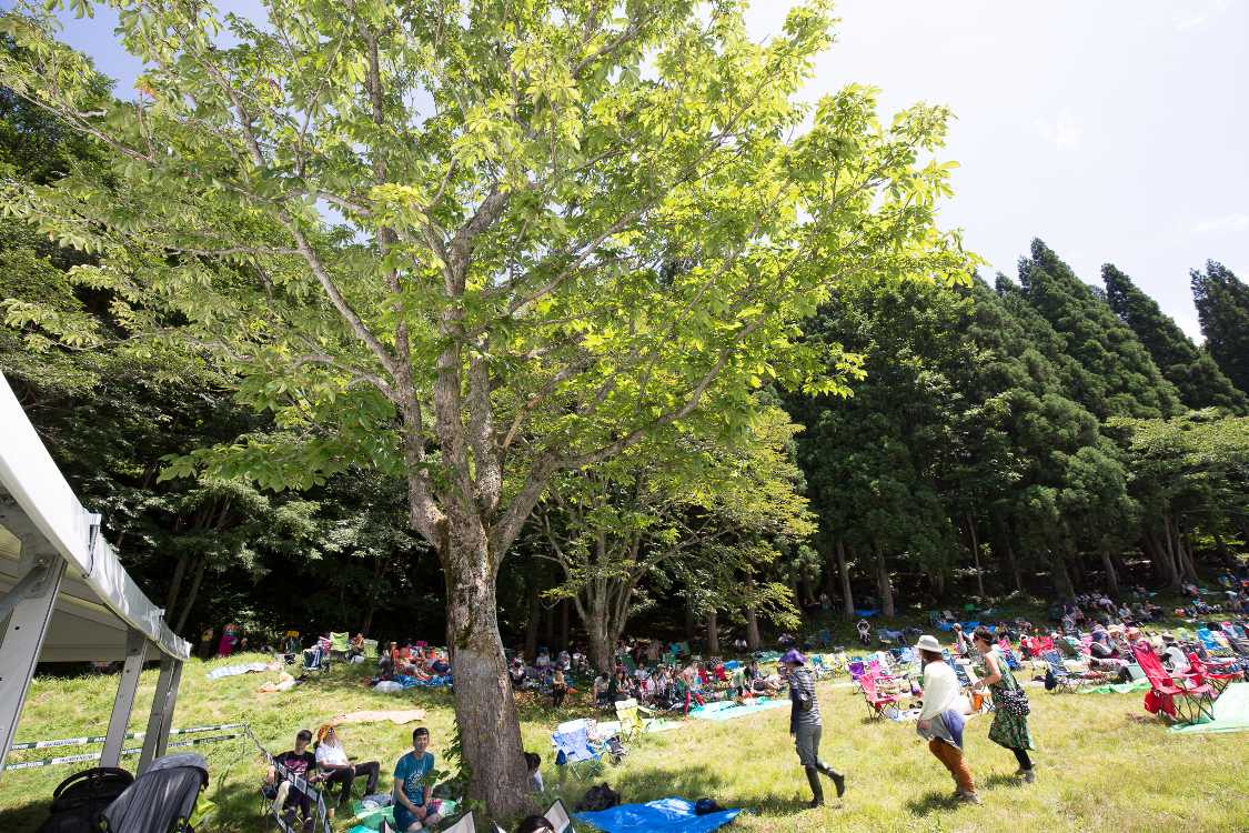 日中は陰がないところは厳しい。