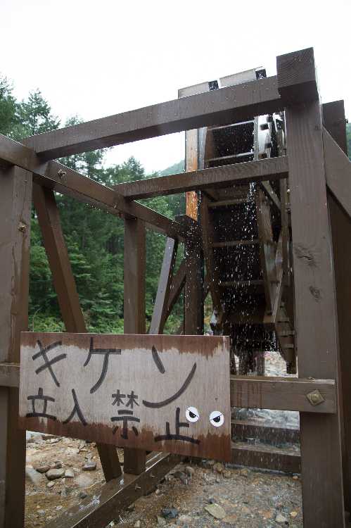 今年の唯一の縦写真。