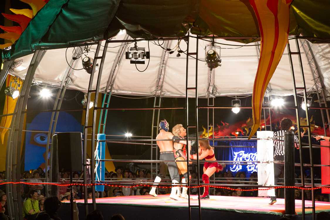 プロレスとしてはごく普通で、面白みはなかった。