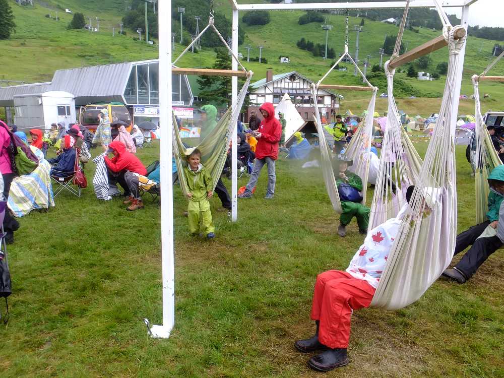 よく踏まれるので芝の色も変わっている。