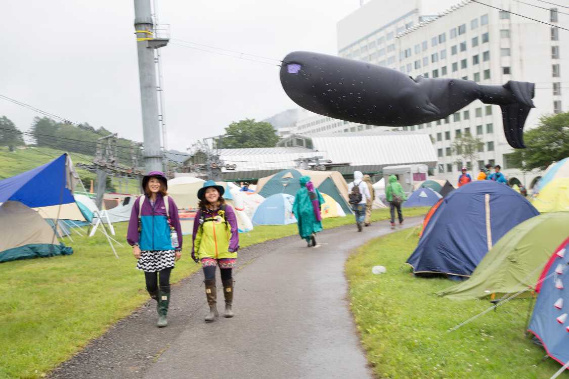 夜は多分光るとみられる。