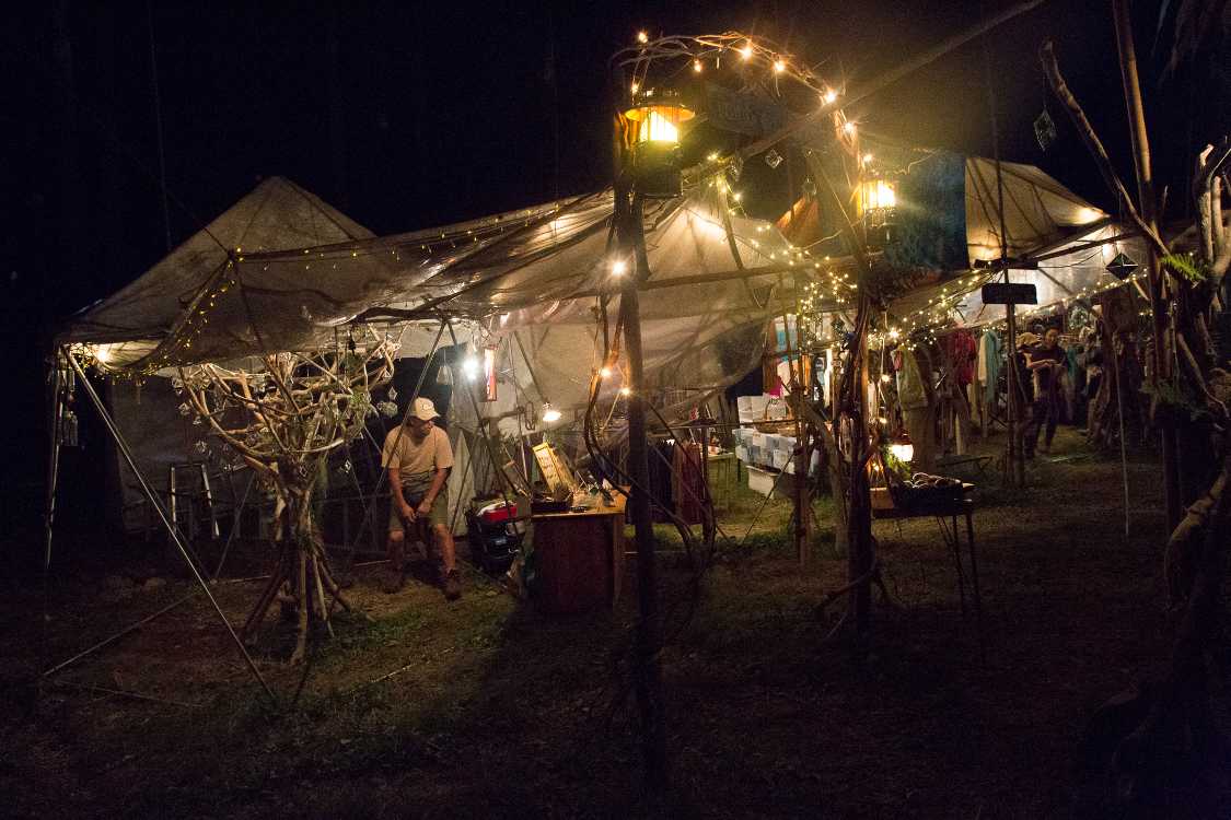 スロータートル。