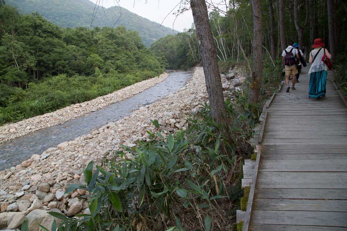 オアシスエリアから流れてくる川。造成されている。