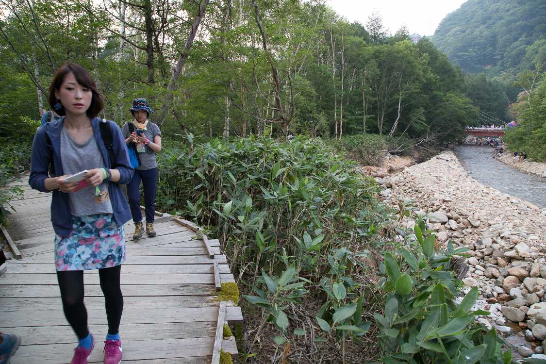 昨年まではこれほど見通しはよくなかったので、ボードウォーク近くまで木を伐採したとみられる。