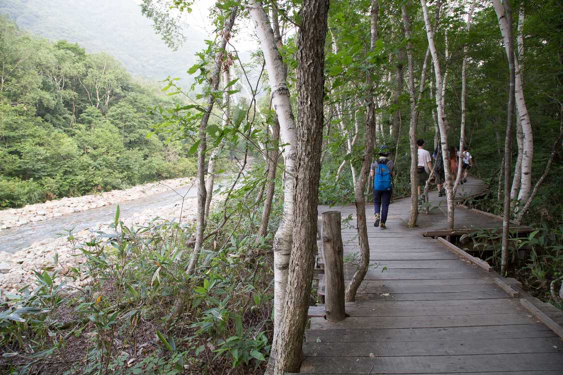 また森の中へ。