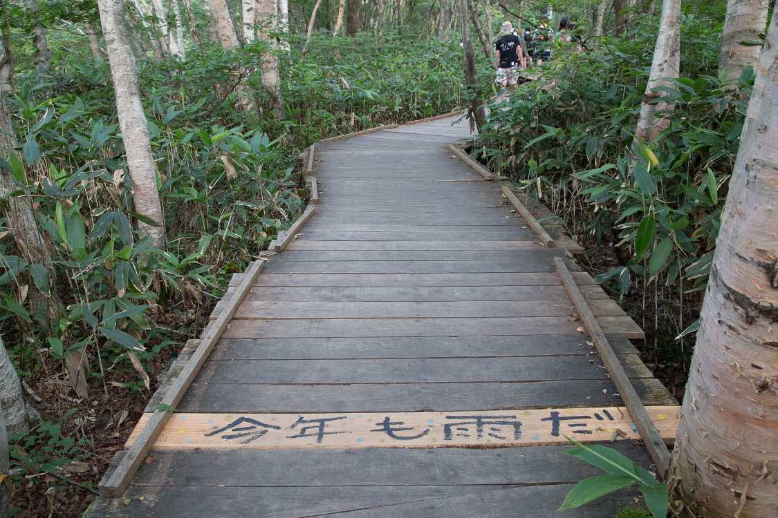 一枚だけ交換された板。