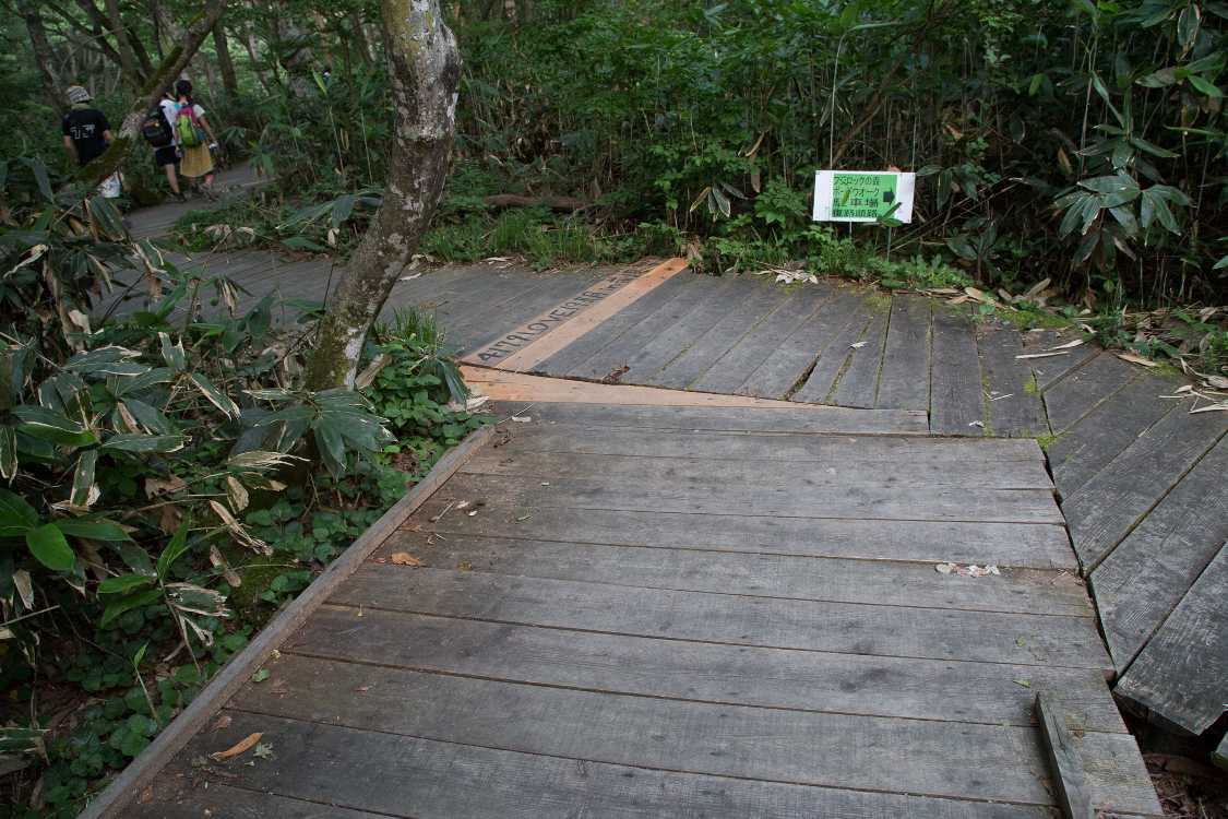 実際の順路は左。