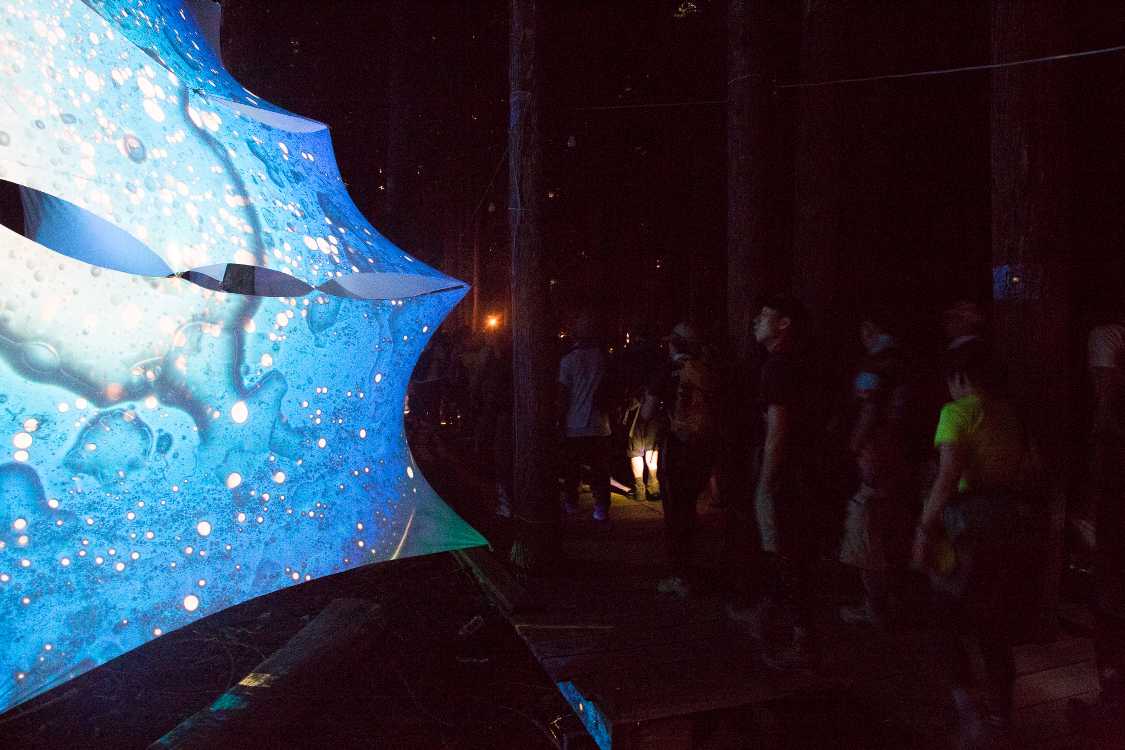 じっくり見る人は少ない。