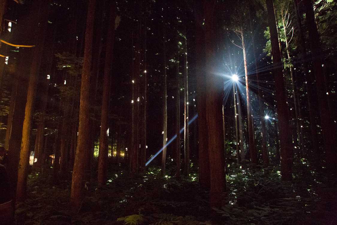 ミラーボールは2個ありました。