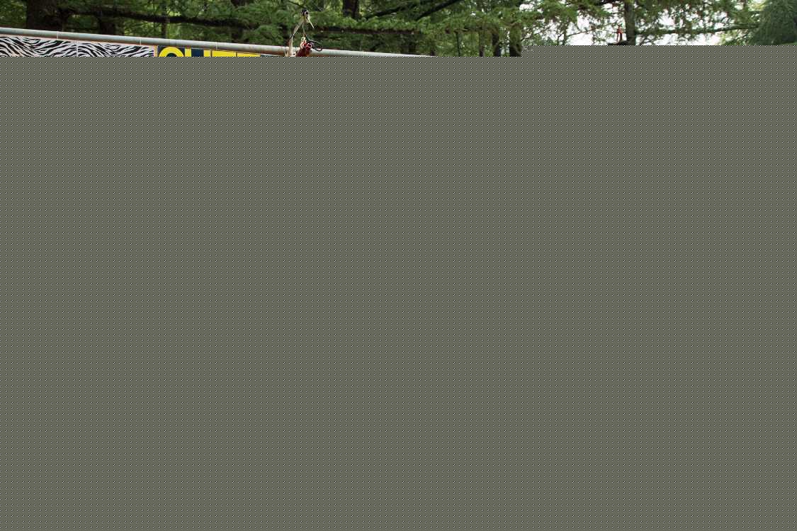 クィーン・シーバ。