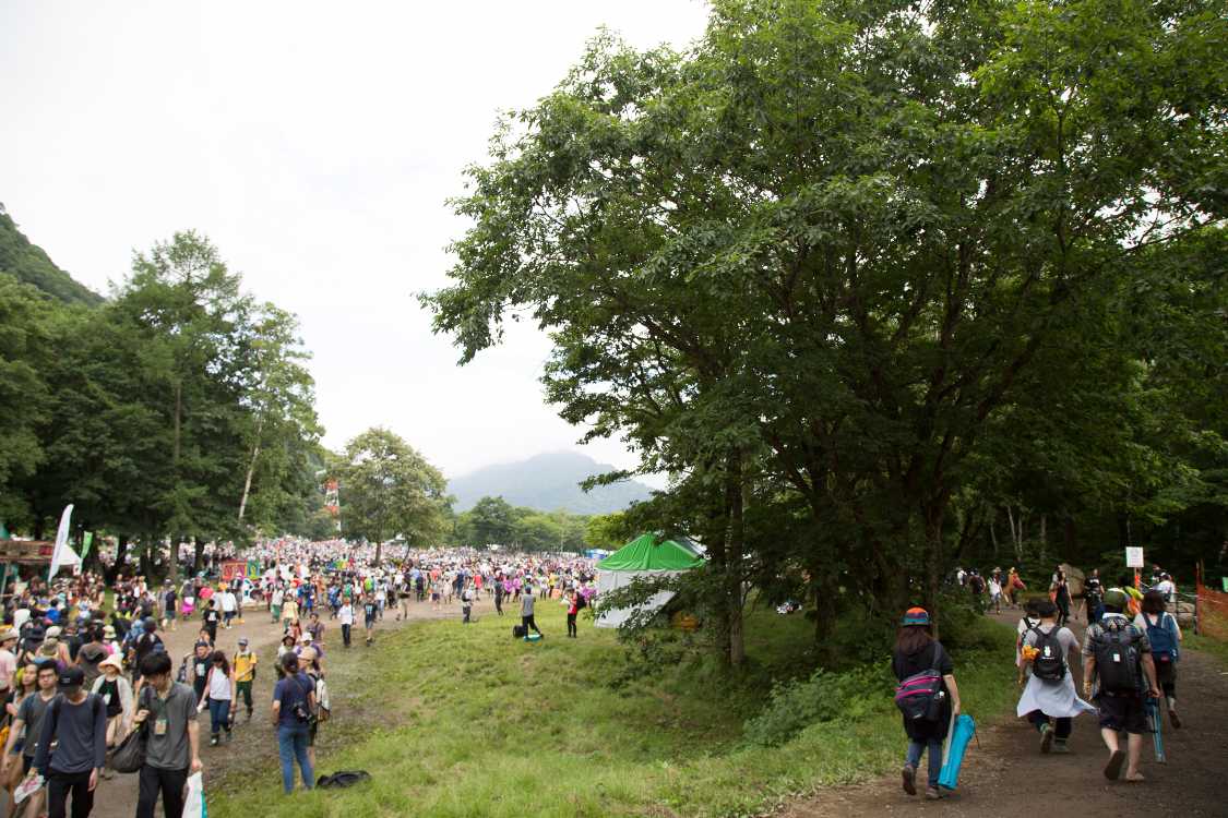 昨年までは大きな目玉があった木。今年の公式ガイドにもZカードにも目玉が描かれているが実際はなかった。と思ったら別方向にあったようです。